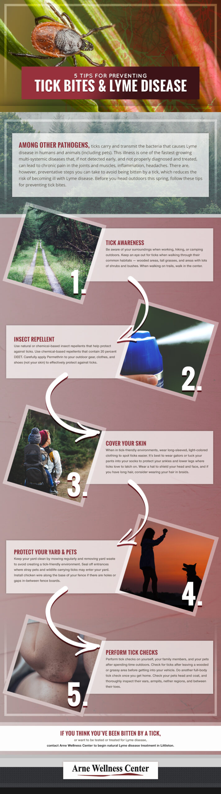 Infographic-5-Tips-for-Preventing-Tick-Bites-Lyme-Disease-5ac692f892765