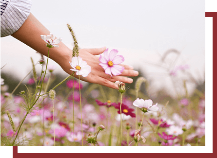 A closeup of an outstretched hand in a flower patch